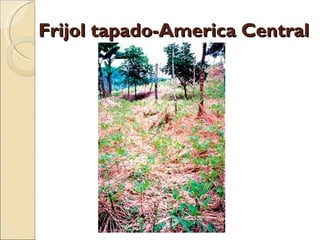 Quién nos alimentara en un planeta en crisis?