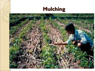 Quién nos alimentara en un planeta en crisis?