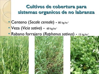 Quién nos alimentara en un planeta en crisis?