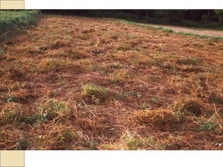 Quién nos alimentara en un planeta en crisis?