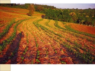Quién nos alimentara en un planeta en crisis?