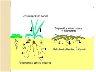 Quién nos alimentara en un planeta en crisis?