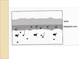 Quién nos alimentara en un planeta en crisis?