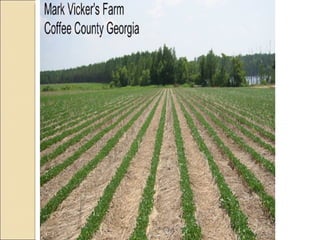 Quién nos alimentara en un planeta en crisis?