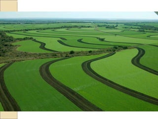 Quién nos alimentara en un planeta en crisis?