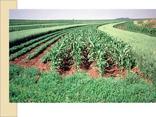 Quién nos alimentara en un planeta en crisis?