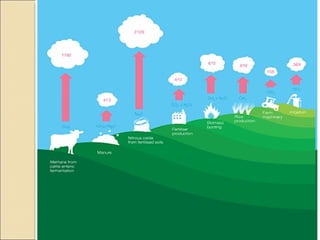 Quién nos alimentara en un planeta en crisis?