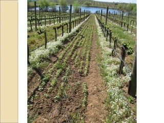 Quién nos alimentara en un planeta en crisis?