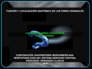 FUNCIÓN Y LOCALIZACIÓN ANATÓMICA DE LOS PARES CRANEALES
LUZ MARY ALVAREZ LEGUIZAMON
COD: 100050361
CORPORACIÓN UNIVERSITARIA IBEROAMERICANA
MORFOFISIOLOGÍA DEL SISTEMA NERVIOSO CENTRAL
PROFESOR: HERNANDO CLAVIJO
2018
 