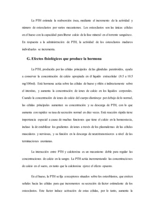 La PTH estimula la reabsorción ósea, mediante el incremento de la actividad y
número de osteoclastos por varios mecanismos. Los osteoclastos son las únicas células
en el hueso con la capacidad para liberar calcio de la fase mineral en el torrente sanguíneo.
En respuesta a la administración de PTH, la actividad de los osteoclastos maduros
individuales se incrementa.
G. Efectos fisiológicos que produce la hormona
La PTH, producida por las células principales de las glándulas paratiroides, ayuda
a conservar la concentración de calcio apropiada en él liquido extracelular (8.5 a 10.5
mg/100ml). Está hormona actúa sobre las células de hueso y riñón e indirectamente sobre
el intestino, y aumenta la concentración de iones de calcio en los líquidos corporales.
Cuando la concentración de iones de calcio del cuerpo disminuye por debajo de lo normal,
las células principales aumentan su concentración y su descarga de PTH, con lo que
aumenta con rapidez su tasa de secreción normal en diez veces. Está reacción rápida tiene
importancia especial a causa de muchas funciones que tiene el calcio en la homeostasia,
incluso la de estabilizar los gradientes de iones a través de los plasmalemas de las células
musculares y nerviosas, y su función en la descarga de neurotransmisores a nivel de las
terminaciones axonianas.
La interacción entre PTH y calcitonina es un mecanismo doble para regular las
concentraciones de calcio en la sangre. La PTH actúa incrementando las concentraciones
de calcio en el suero, en tanto que la calcitonina ejerce el efecto opuesto.
En el hueso, la PTH se fija a receptores situados sobre los osteoblastos, que emiten
señales hacia las células para que incrementen su secreción de factor estimulante de los
osteoclastos. Este factor induce activación de estas células, por lo tanto, aumenta la
 