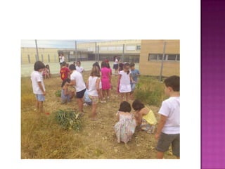 Quien siembra recoge