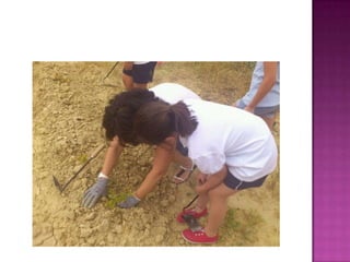 Quien siembra recoge