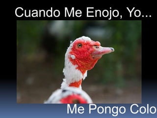 Cuando Me Enojo, Yo...




        Me Pongo Color
 