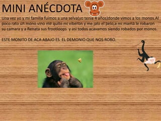 MINI ANÉCDOTAUna vez yo y mi familia fuimos a una selva(yo tenia 4 años)donde vimos a los monos.Al poco rato un mono vino me quito mi viberon y me jalo el pelo,a mi mama le robaron su camara y a Renata sus frootloops  y asi todos acavamos siendo robados por monos.ESTE MONITO DE ACA ABAJO ES  EL DEMONIO QUE NOS ROBO.