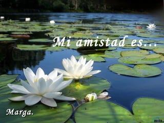 Mi amistad es… Marga.