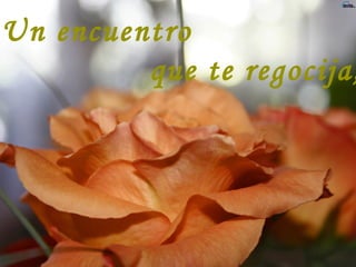 Un encuentro que te regocija,
