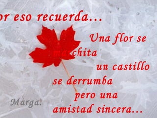 Por eso recuerda… Una flor se marchita un castillo se derrumba pero una amistad sincera… la conservo hasta la tumba. Marga.