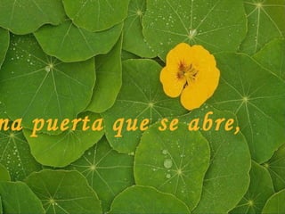 Una puerta que se abre,
