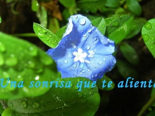 Una sonrisa que te alienta,