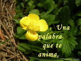 Una palabra que te anima,