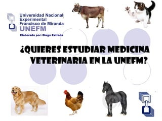 ¿QUIERES ESTUDIAR Medicina Veterinaria EN LA UNEFM?  Elaborado por: Diego Estrada 