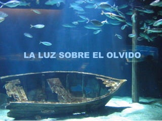 LA LUZ SOBRE EL OLVIDO 