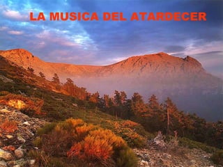 LA MUSICA DEL ATARDECER 