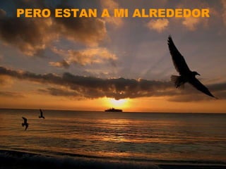 PERO ESTAN A MI ALREDEDOR 