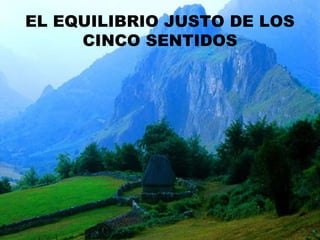 EL EQUILIBRIO JUSTO DE LOS CINCO SENTIDOS 