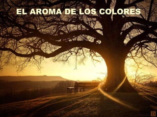 EL AROMA DE LOS COLORES 