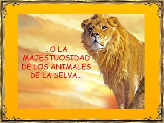 … O LA MAJESTUOSIDAD DE LOS ANIMALES DE LA SELVA… 
