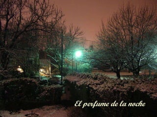 El perfume de la noche 