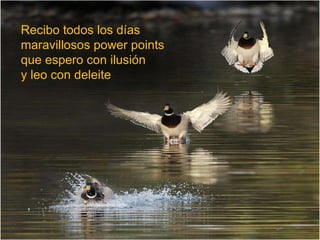 Recibo todos los días maravillosos power points que espero con ilusión  y leo con deleite 