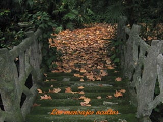 Los mensajes ocultos
 