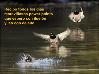 Recibo todos los días
maravillosos power points
que espero con ilusión
y leo con deleite
 