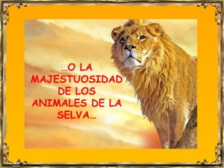 …O LA
MAJESTUOSIDAD
    DE LOS
ANIMALES DE LA
    SELVA…
 