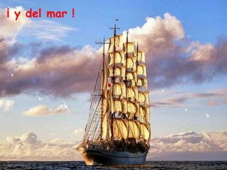 ¡ y del mar !
 