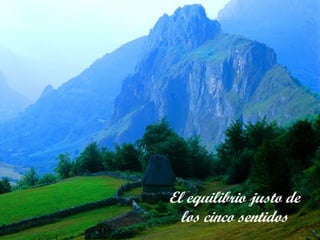 El equilibrio justo de
  los cinco sentidos
 