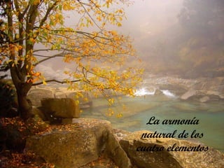 La armonía
 natural de los
cuatro elementos
 