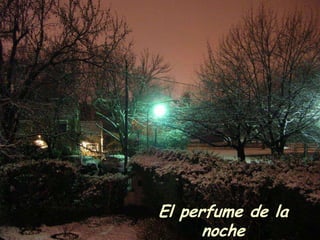 El perfume de la
noche

 