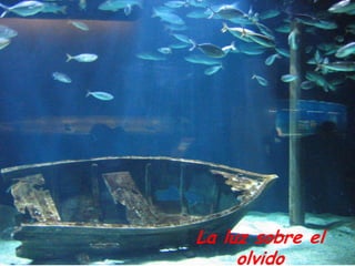 La luz sobre el
olvido

 