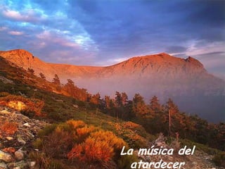 La música del
atardecer

 