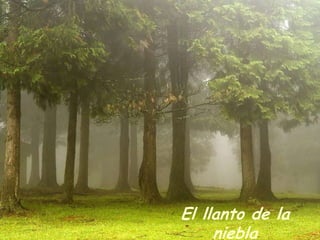 El llanto de la
niebla

 