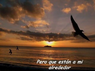 Pero que están a mi
alrededor

 