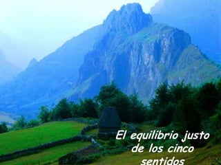 El equilibrio justo
de los cinco

 