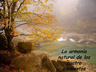 La armonía
natural de los
cuatro
elementos

 