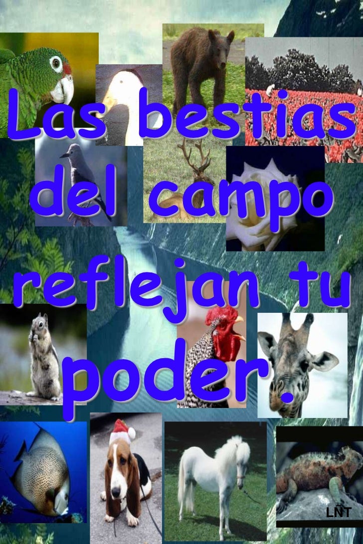 Quiero Alabarte slideshare