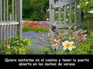 Quiero sentarme en el camino y tener la puerta abierta en las noches de verano                                             