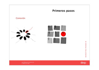 Primeros pasos

Conexión
 