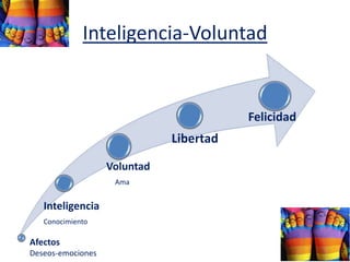 Inteligencia-Voluntad
Inteligencia
Conocimiento
Voluntad
Ama
Libertad
Felicidad
Afectos
Deseos-emociones
 